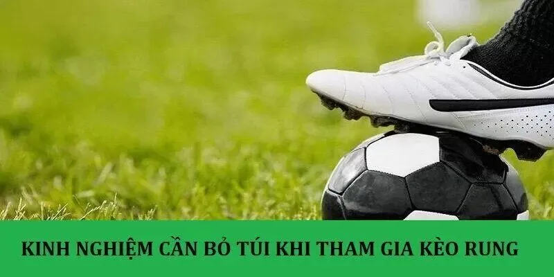 Bỏ túi những kinh nghiệm trên để lượm tiền thể loại kèo rung